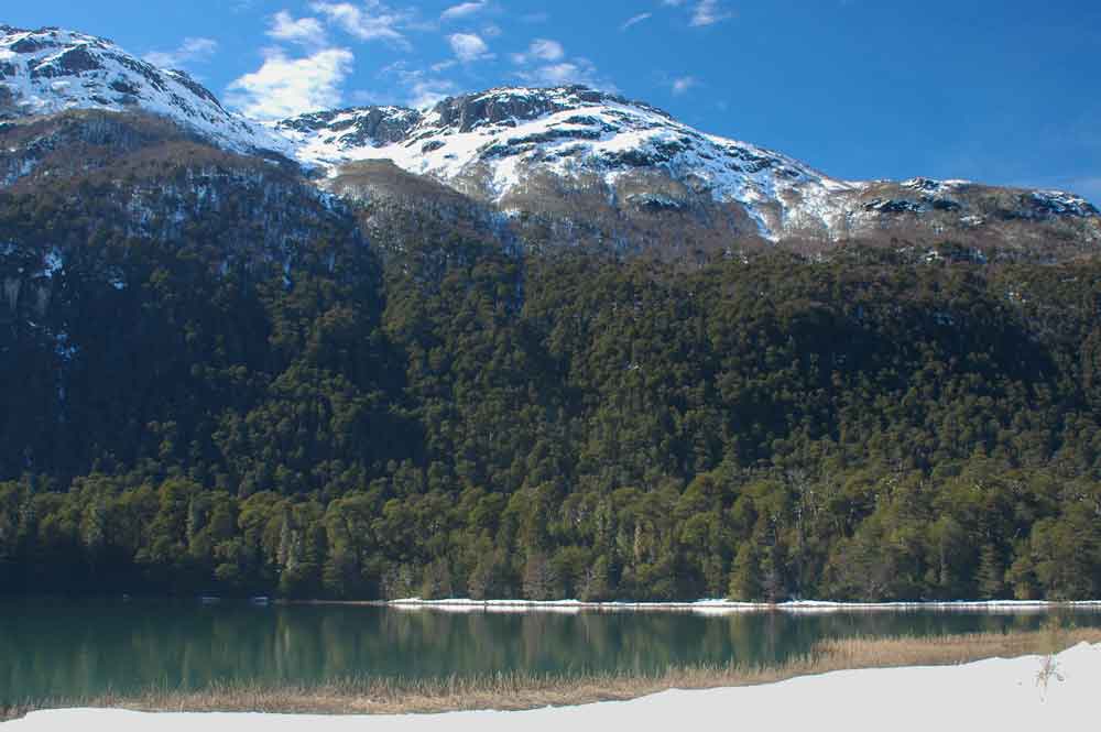Argentina 096 - parque nacional Nahuel Huapi - lago Frias.jpg